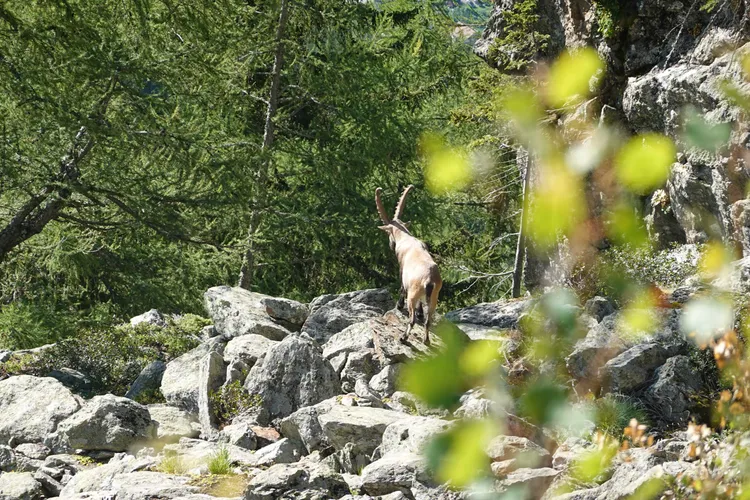 Picture of the second day on the trail